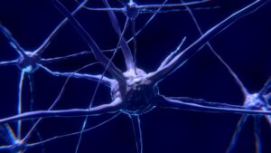 Scopriremo l’Alzheimer con un test del sangue? Il nuovo brevetto fa sperare