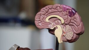 Cervello sempre più lento? La scienza ha trovato il modo per ringiovanirti