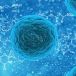 Infezione polimicrobica delle vie respiratorie: come si guarisce