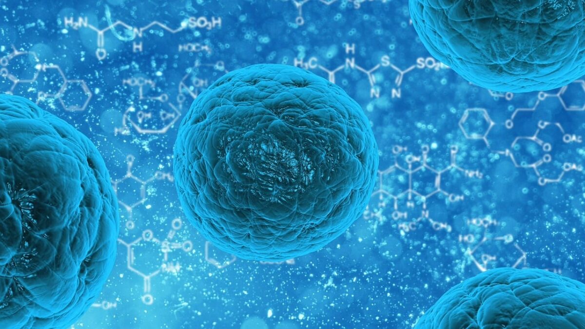 Infezione polimicrobica delle vie respiratorie: come si guarisce