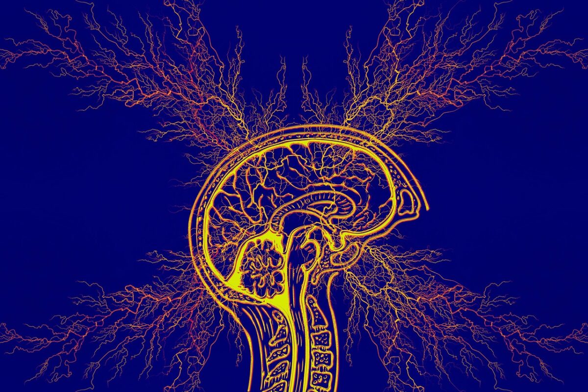 Giornata mondiale dell’epilessia: un problema mondiale