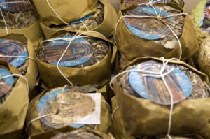 Formaggio senza lattosio bloccato dal Ministero: il motivo