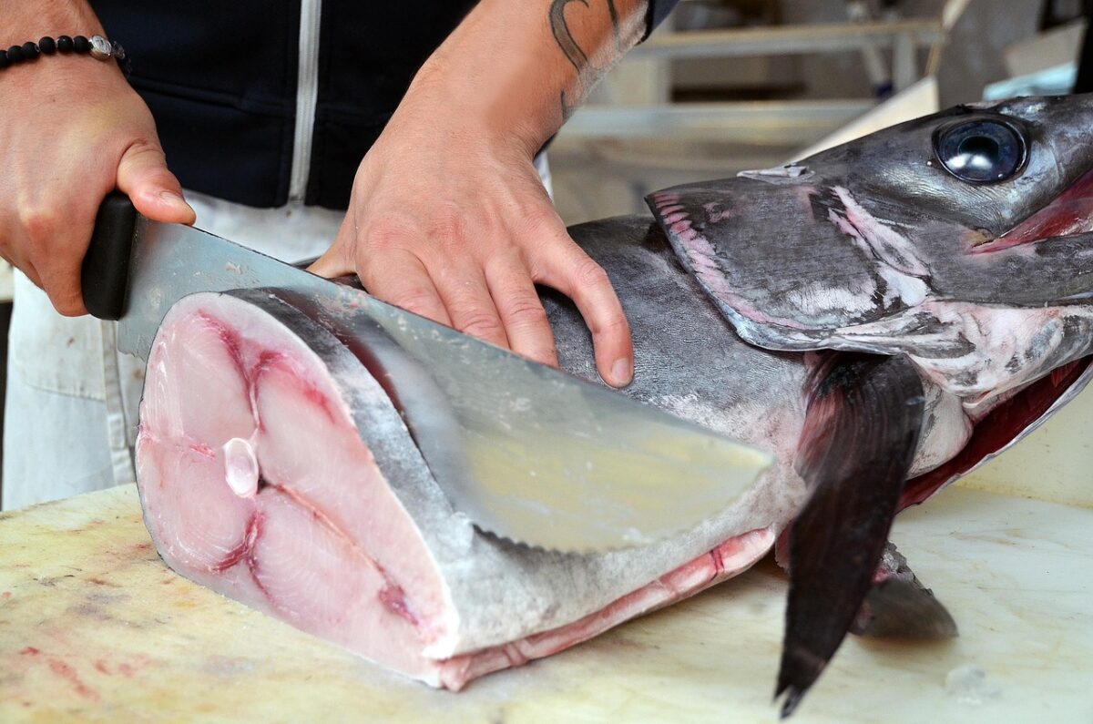 Allarme a Milano: ritirato un grosso lotto di pesce spada, svelato il motivo