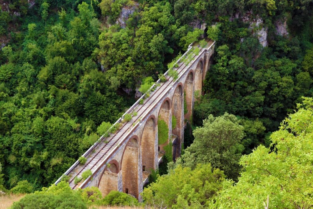 L’Elisir della Longevità: Il Mistero del Cilento Svelato L’Elisir della Longevità: Il Mistero del Cilento Svelato