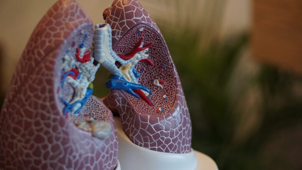 Malattie respiratorie: sempre più malati in Europa
