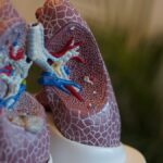 Malattie respiratorie: sempre più malati in Europa