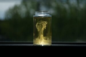 Botulismo: il problema nascosto di chi ama fare le conserve