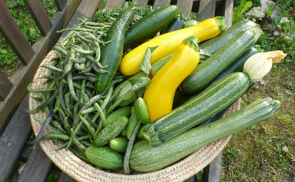 Succo di cetriolini: il rimedio vincente di Sinner contro i crampi