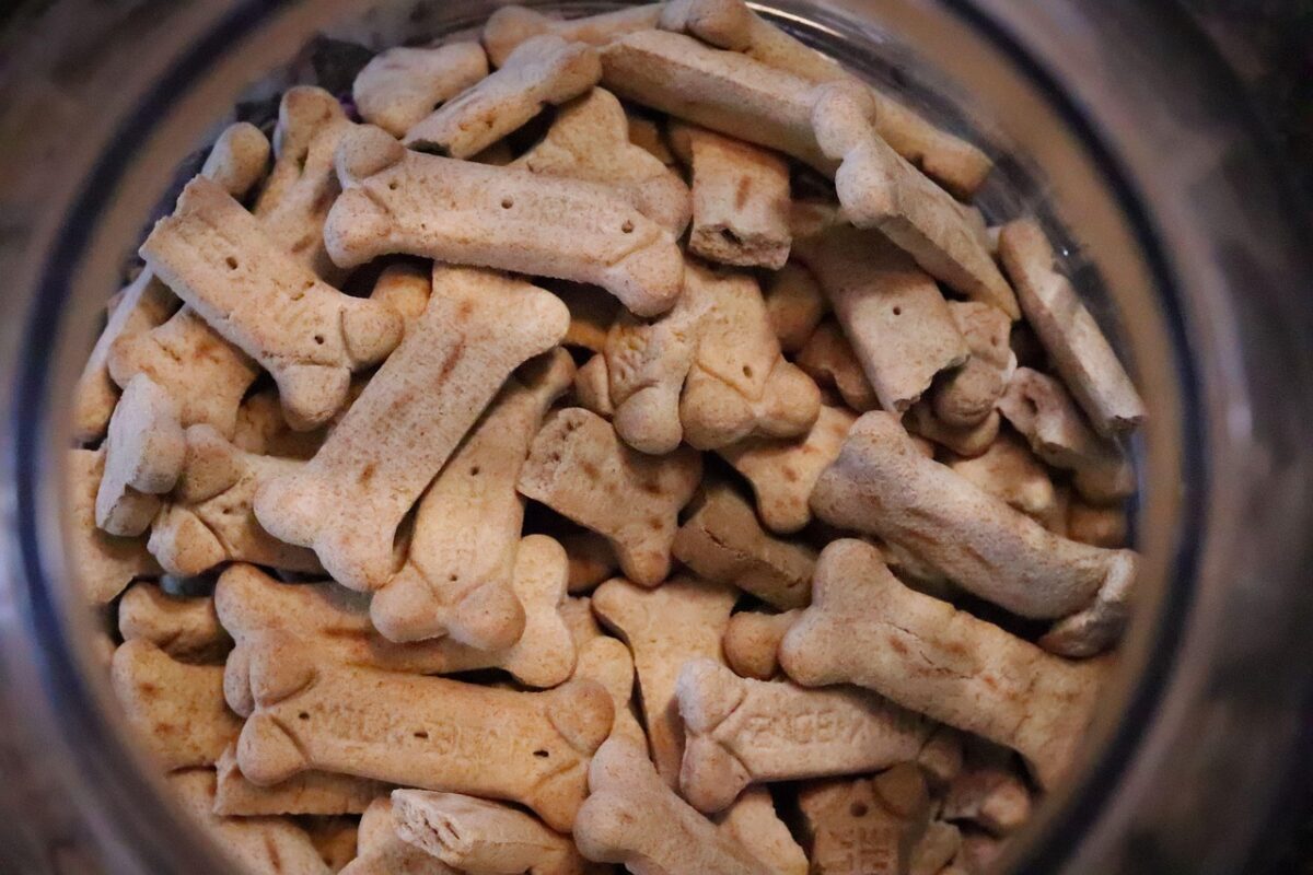 Richiamato uno snack per cani del marchio Happy Dog: rischio contaminazione Richiamato uno snack per cani del marchio Happy Dog: rischio contaminazione