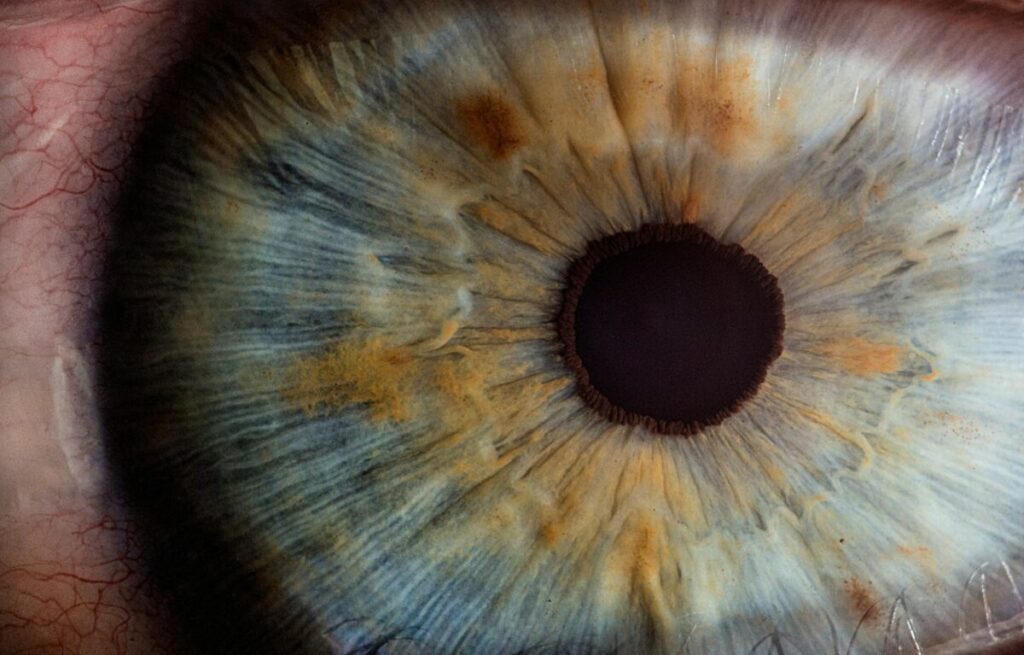 Retina a rischio? Sono le donne a preoccuparsi Retina a rischio? Sono le donne a preoccuparsi