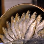 Allerta alimentare, il Ministero richiama sardine, uova, salametto e una tisana snellente