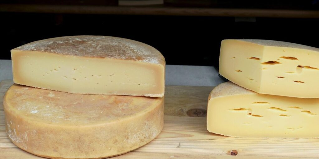 Richiamo per un Camembert DOP: segnalata contaminazione da Escherichia coli