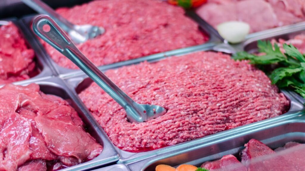 Richiamo per la polpa di bovino Dottor Fox: avviso del Ministero della Salute per lotto surgelato destinato a cani e gatti