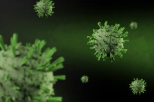 Hantavirus, perché l’incubazione lenta rende più difficile riconoscere il rischio