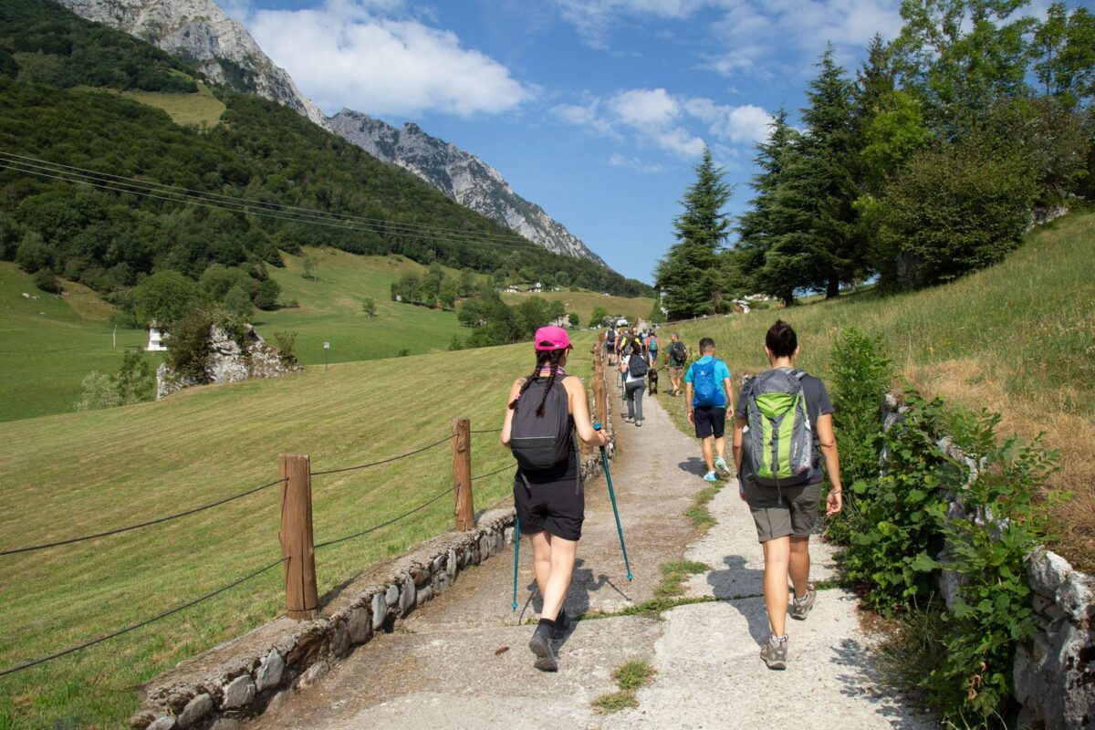Tai Chi Walking: la camminata lenta che aiuta equilibrio, postura e benessere mentale Tai Chi Walking: la camminata lenta che aiuta equilibrio, postura e benessere mentale