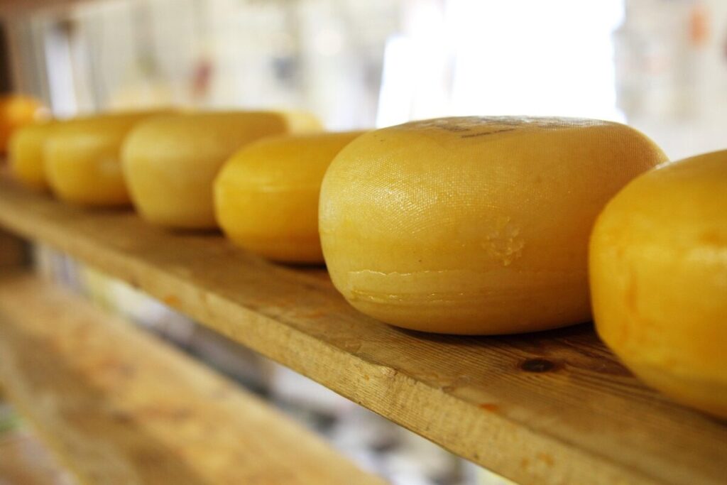 Richiamo di formaggi di capra Capriss: attenzione a lotti e scadenze segnalati dal Ministero della Salute Richiamo di formaggi di capra Capriss: attenzione a lotti e scadenze segnalati dal Ministero della Salute