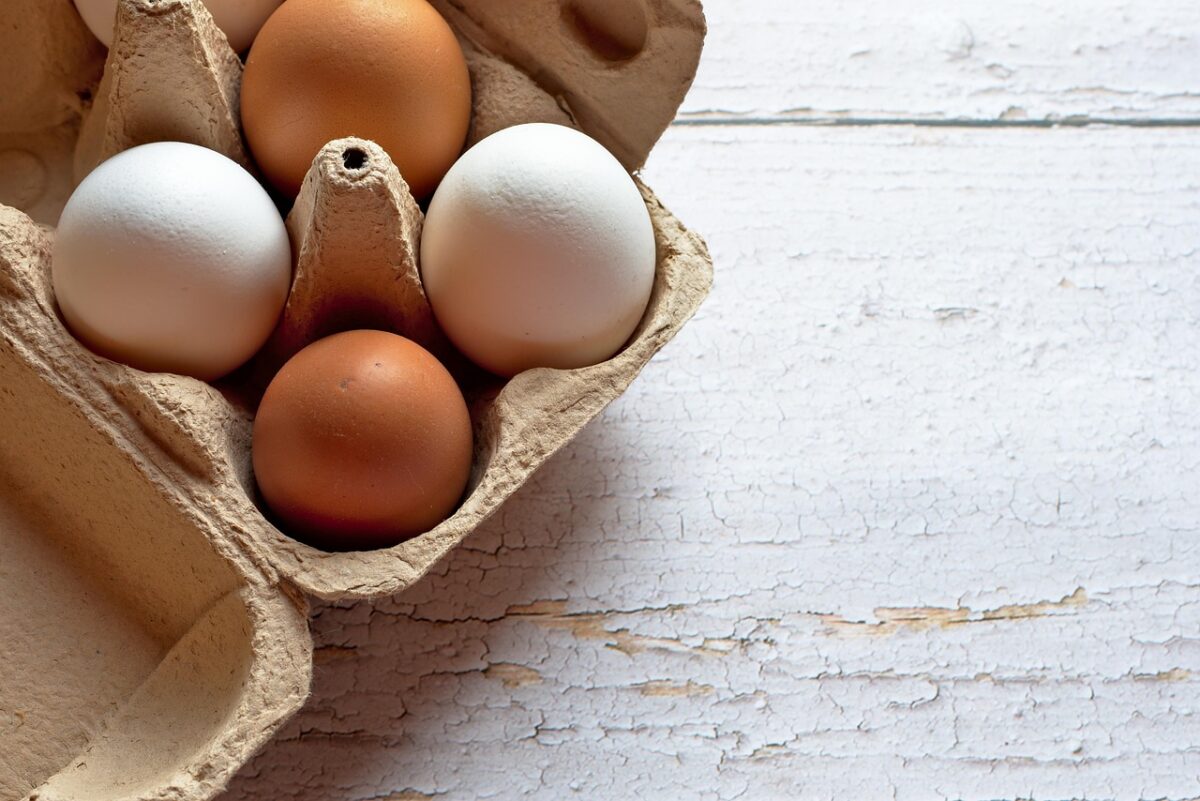Richiamo alimentare per uova AIA, Selex e riso Carnaroli: gli avvisi diffusi tra supermercati e Ministero Richiamo alimentare per uova AIA, Selex e riso Carnaroli: gli avvisi diffusi tra supermercati e Ministero