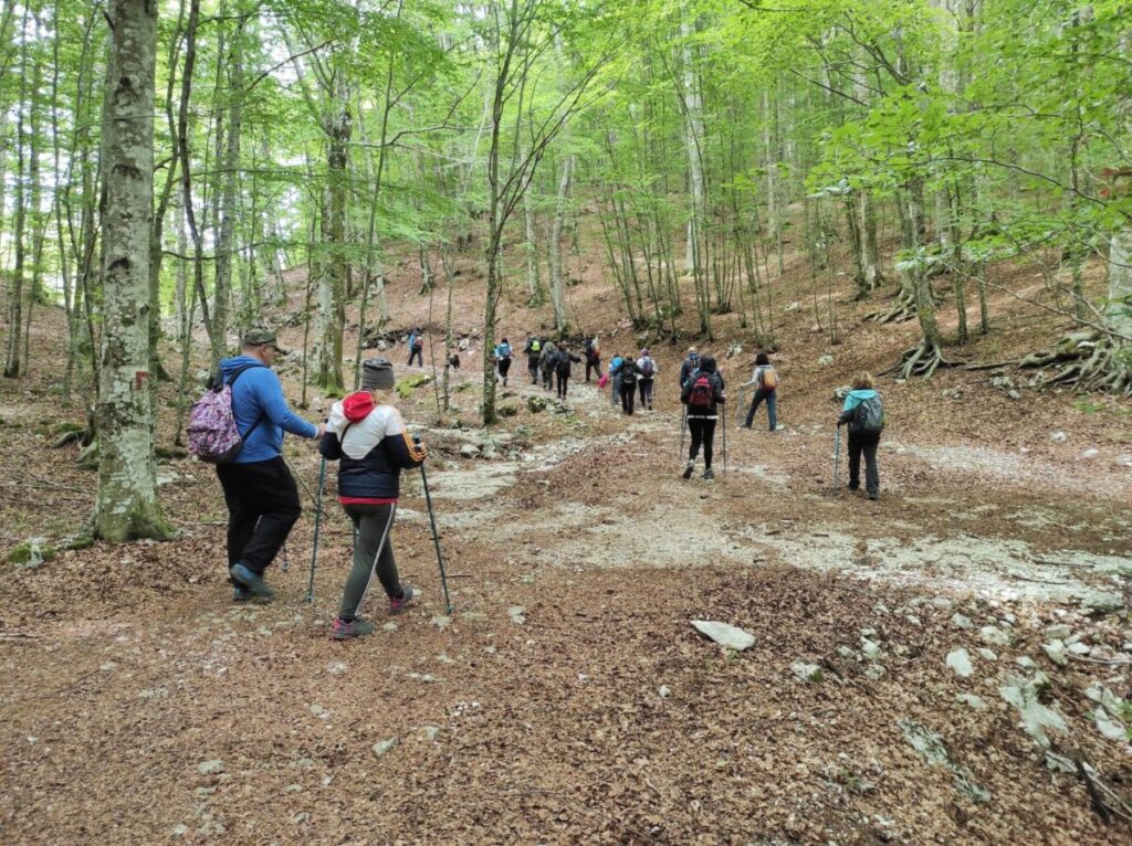 Tai Chi Walking: la camminata lenta che aiuta equilibrio, postura e benessere mentale Tai Chi Walking: la camminata lenta che aiuta equilibrio, postura e benessere mentale