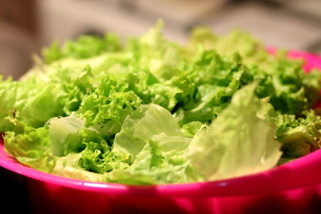 Due morti per ciclosporiasi in Michigan: cresce l’allarme negli Stati Uniti per l’insalata contaminata Due morti per ciclosporiasi in Michigan: cresce l’allarme negli Stati Uniti per l’insalata contaminata