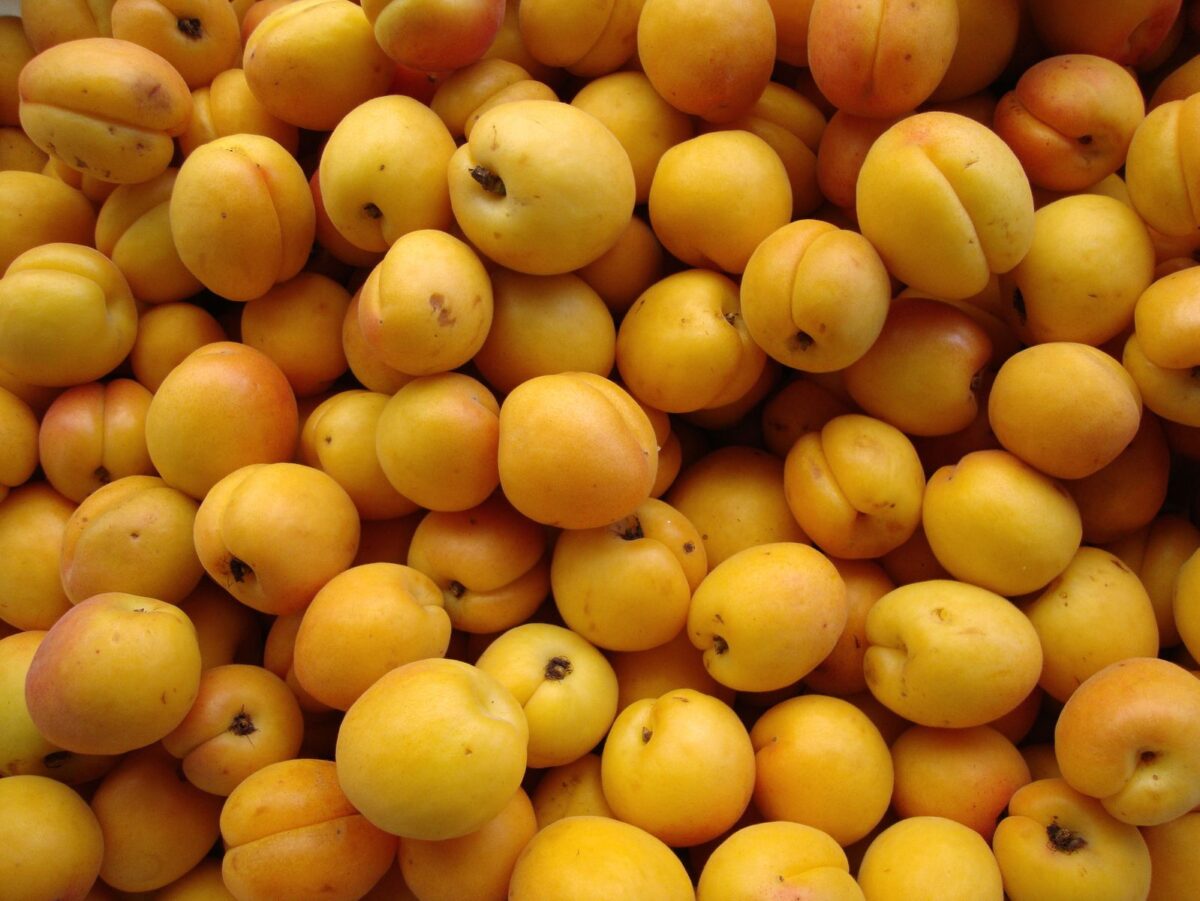 Altro che banane: ecco gli alimenti che contengono più potassio e aiutano la pressione sanguigna