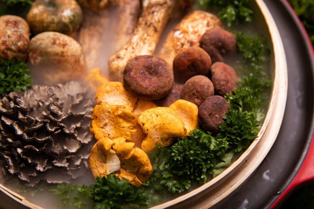 Le virtù del fungo maitake: proprietà, benefici e prospettive della ricerca