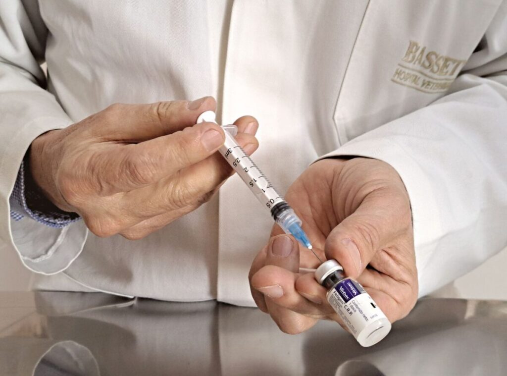 Morbillo, torna l’allarme in Italia: perché i contagi risalgono e quali rischi corre chi non è vaccinato Morbillo, torna l’allarme in Italia: perché i contagi risalgono e quali rischi corre chi non è vaccinato