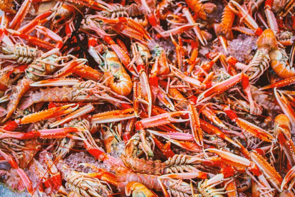 Crostacei e colesterolo alto: davvero vanno evitati? La risposta è meno rigida di quanto si creda Crostacei e colesterolo alto: davvero vanno evitati? La risposta è meno rigida di quanto si creda