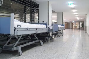 Virus Shamonda: cos’è, come si trasmette e quali sintomi provoca