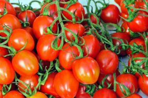 Pomodorini a rischio salmonella? Cosa sta succedendo in Toscana