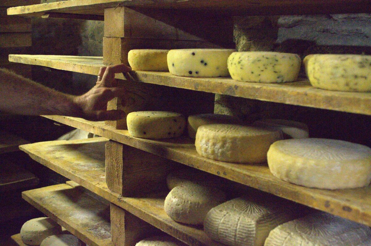 Due nuovi richiami alimentari: formaggio Valtellina Casera DOP e pezzente della montagna materana